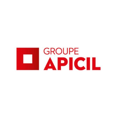 Logo de l'entreprise de la bonne pratique Promotion APICIL Hand'IGS
